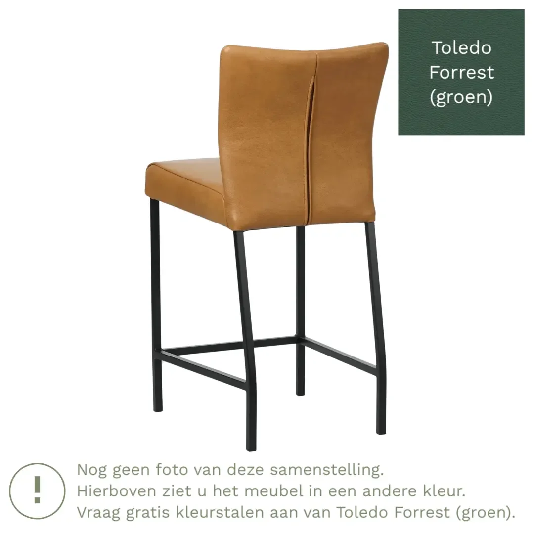 afbeelding van Leren barkruk Revolt laag - Toledo Forrest (groen) - Poten staal vierkant RVS