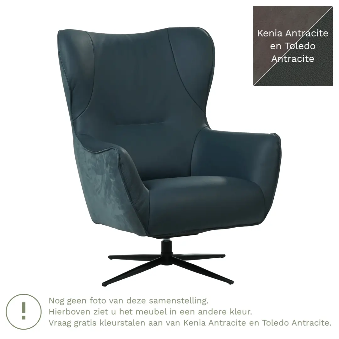 afbeelding van Leren draaifauteuil Leaf Duo - Kenia Antracite en Toledo Antracite - Stervoet zwart