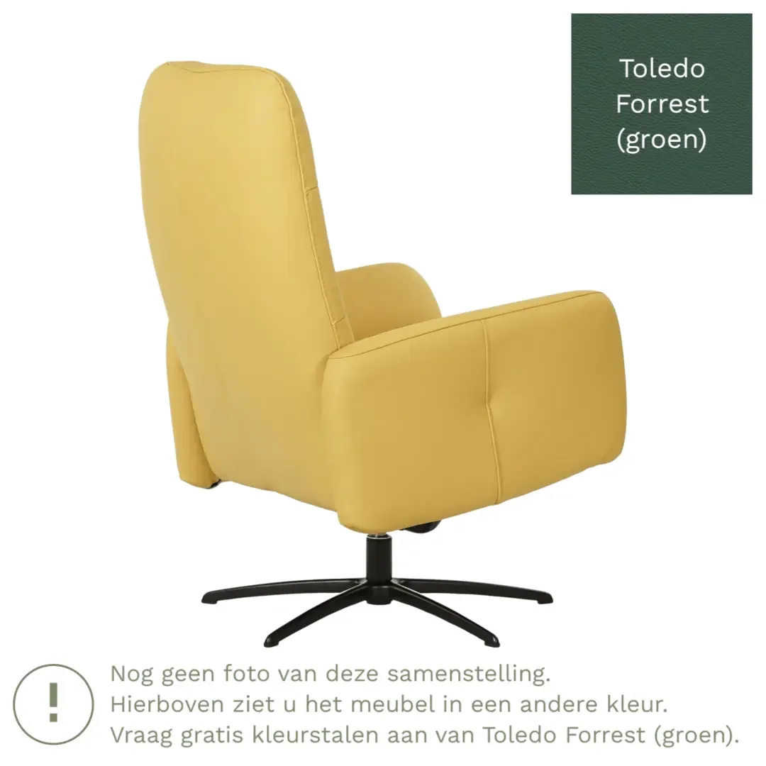 afbeelding van Leren draaifauteuil Pulse - Toledo Forrest (groen) - Stervoet zwart