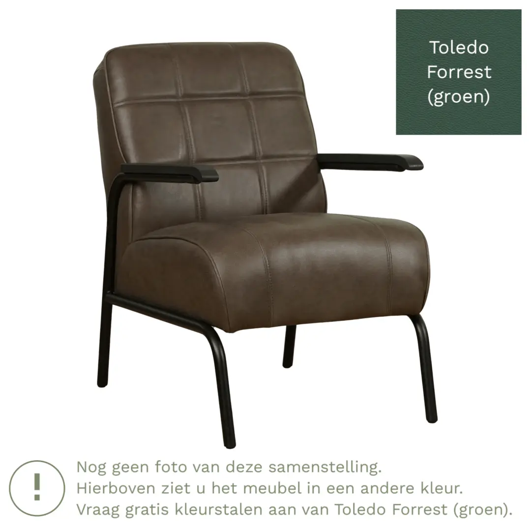 afbeelding van Leren fauteuil Ahead - Toledo Forrest (groen)