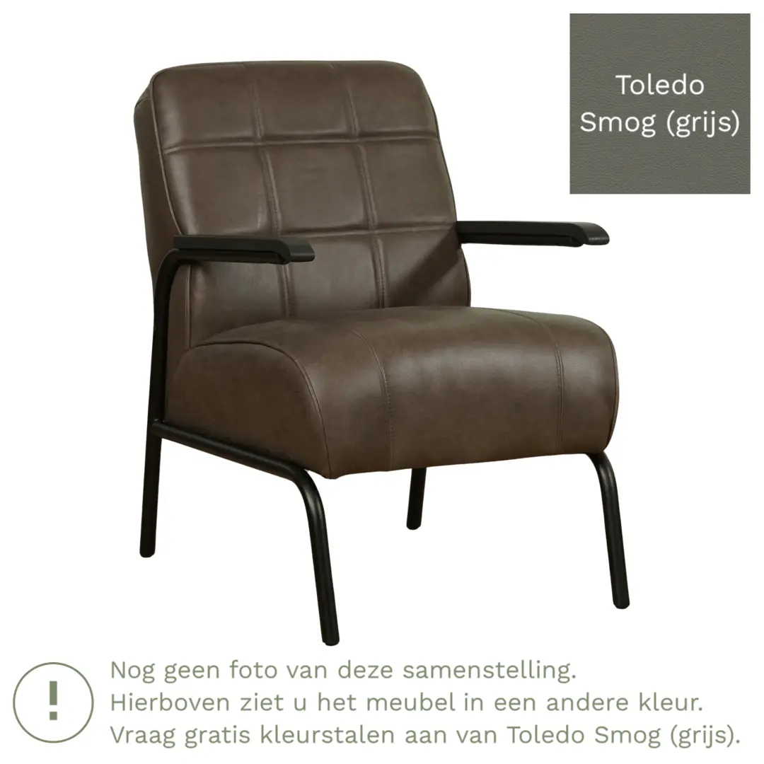 afbeelding van Leren fauteuil Ahead - Toledo Smog (grijs)