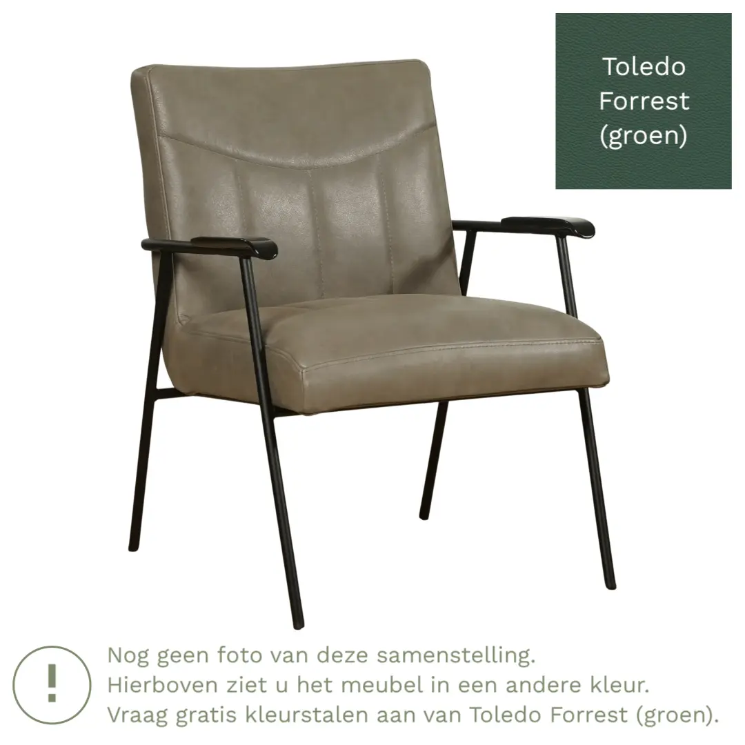 afbeelding van Leren fauteuil Beam - Toledo Forrest (groen)