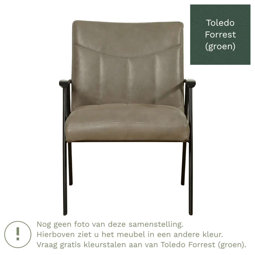 afbeelding van Leren fauteuil Beam - Toledo Forrest (groen)
