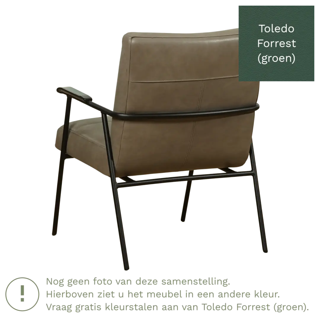 afbeelding van Leren fauteuil Beam - Toledo Forrest (groen)