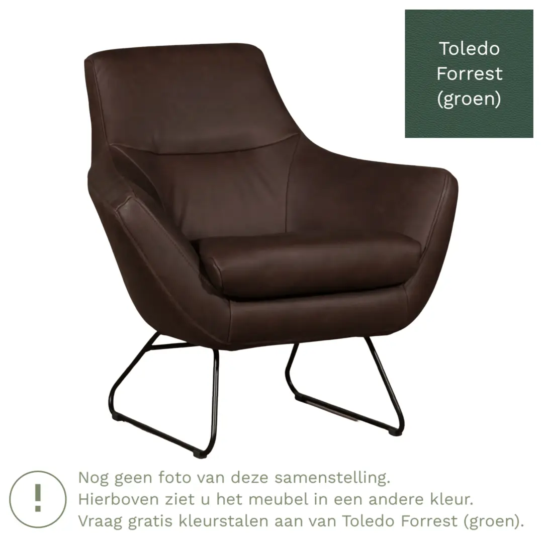 afbeelding van Leren fauteuil Fame - Toledo Forrest (groen)