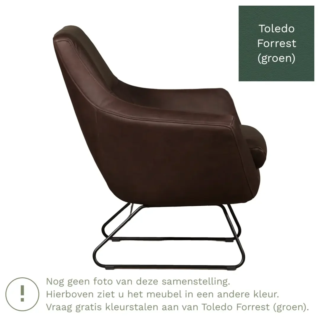 afbeelding van Leren fauteuil Fame - Toledo Forrest (groen)