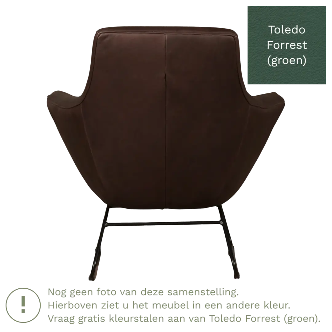 afbeelding van Leren fauteuil Fame - Toledo Forrest (groen)
