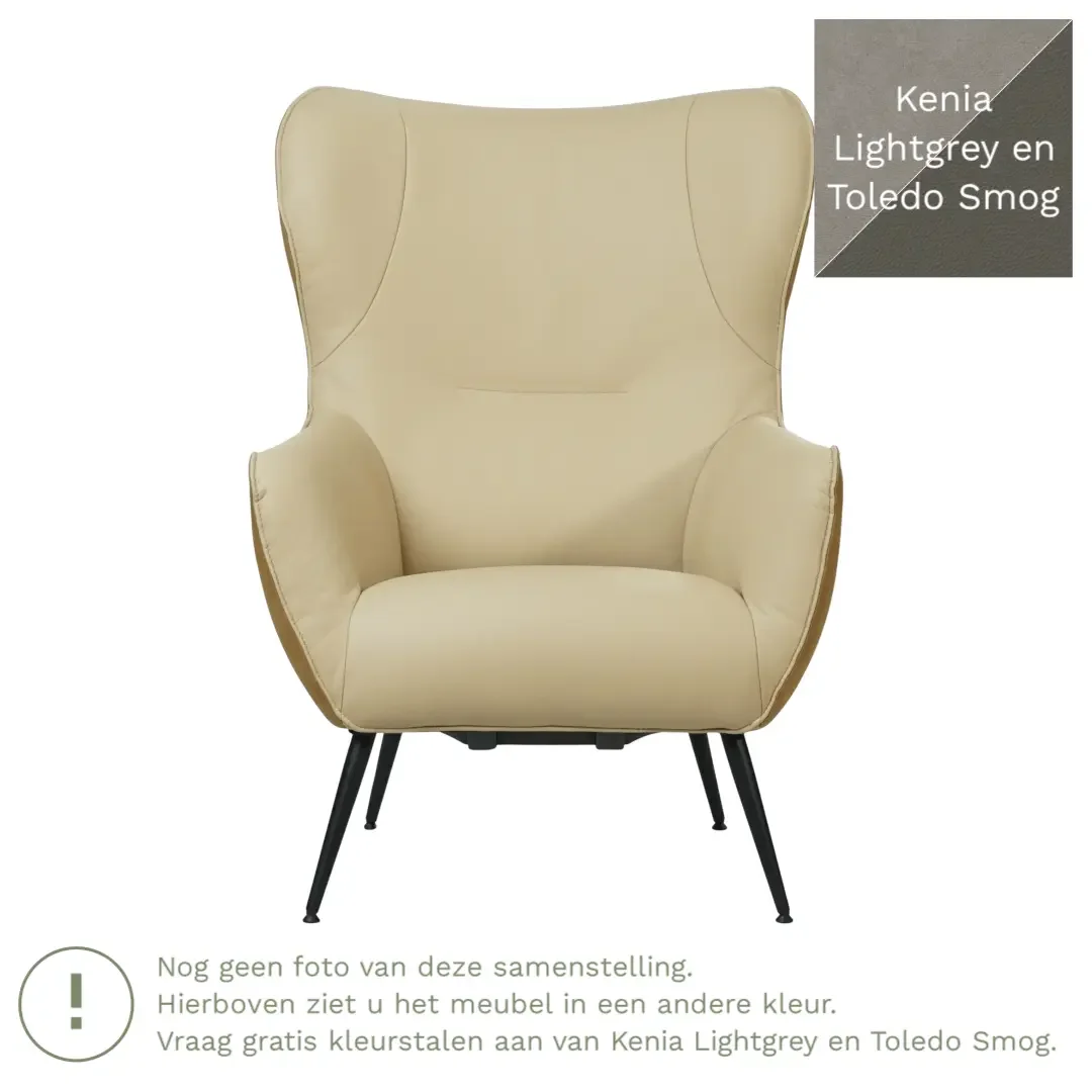 afbeelding van Leren fauteuil Flair Duo - Kenia Lightgrey en Toledo Smog - Poten staal rond zwart