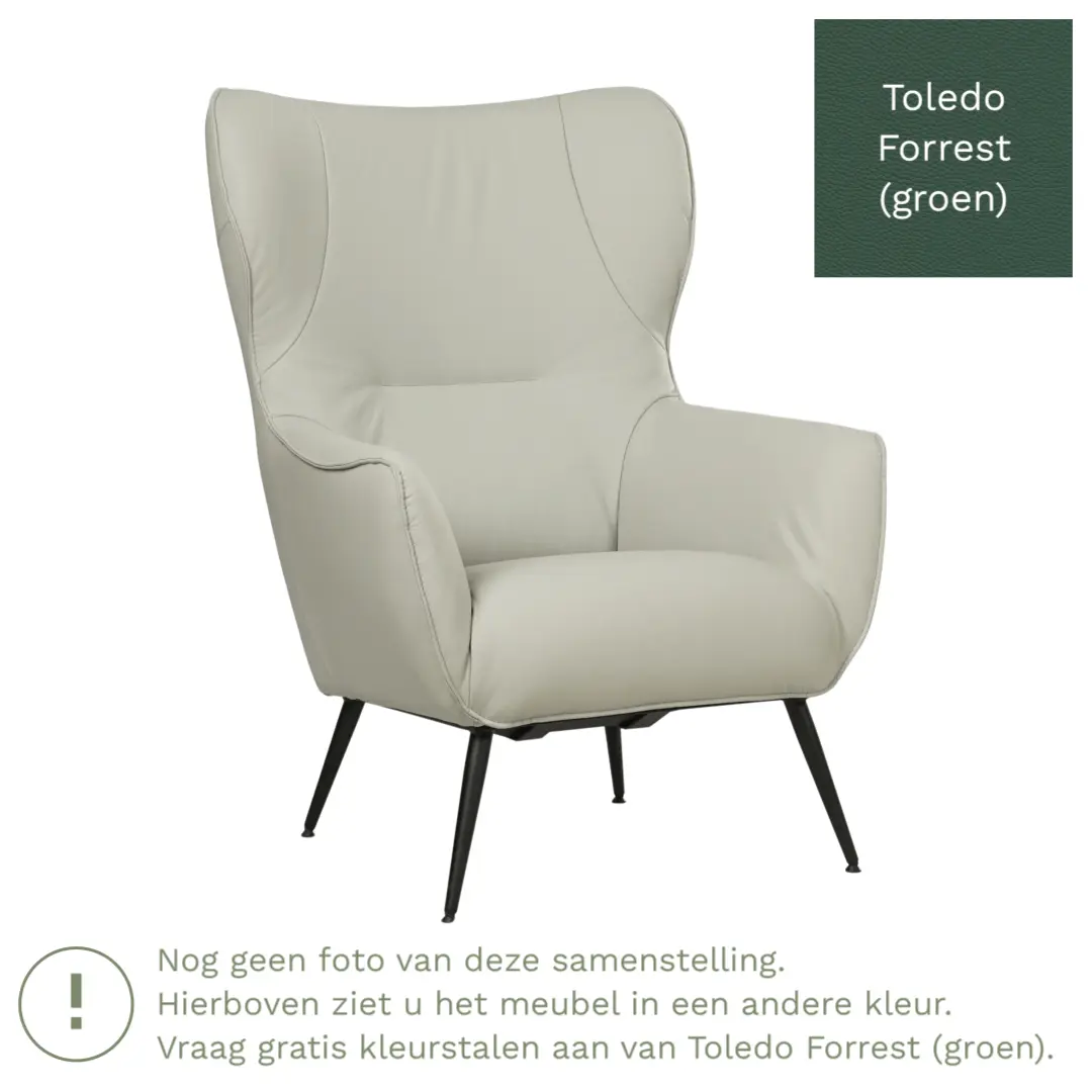 afbeelding van Leren fauteuil Flair - Toledo Forrest (groen)