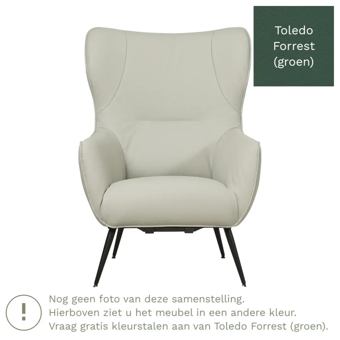 afbeelding van Leren fauteuil Flair - Toledo Forrest (groen)