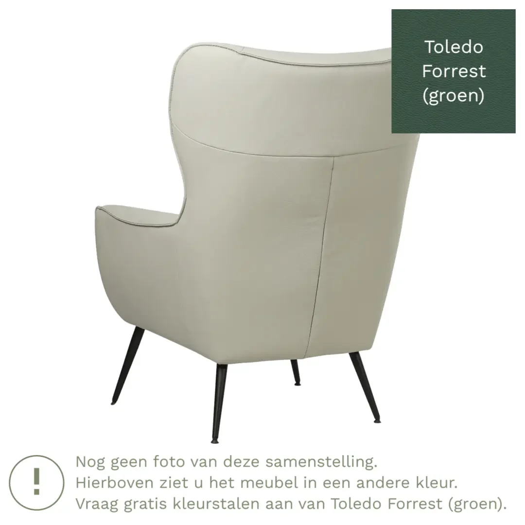 afbeelding van Leren fauteuil Flair - Toledo Forrest (groen)