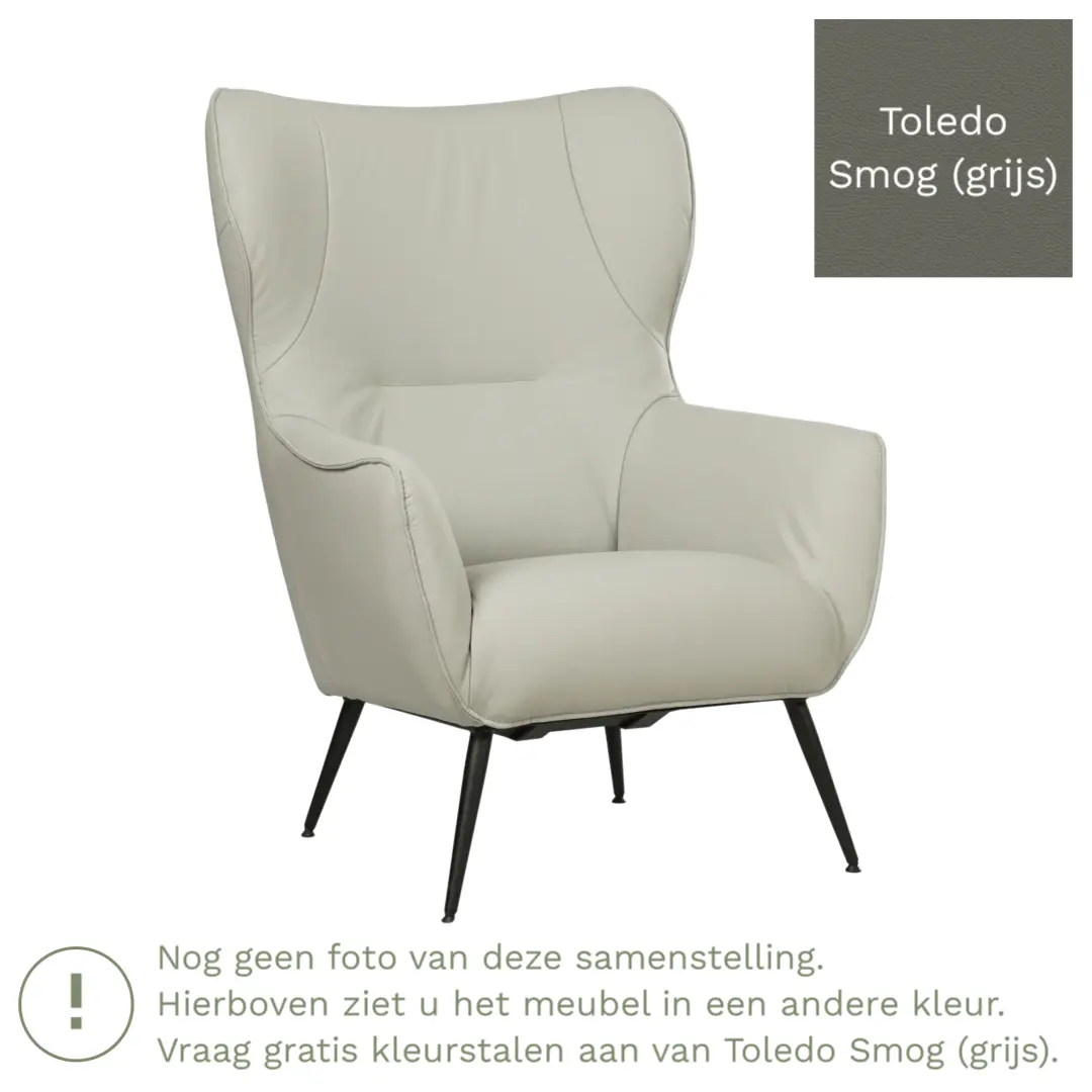 afbeelding van Leren fauteuil Flair - Toledo Smog (grijs)