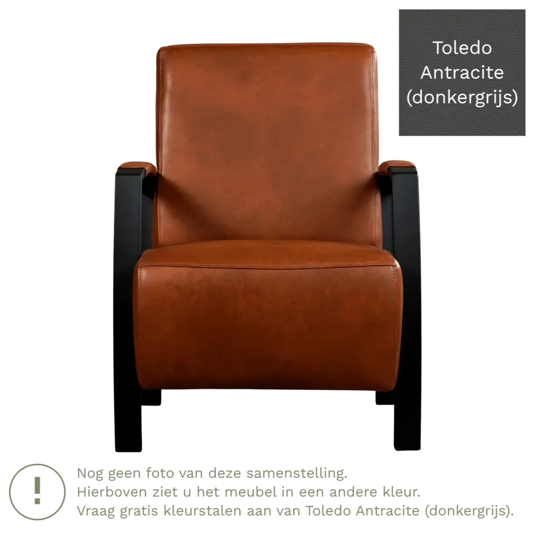 afbeelding van Leren fauteuil Glory - Toledo Antracite (donkergrijs)