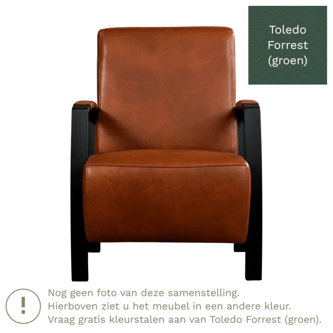 afbeelding van Leren fauteuil Glory - Toledo Forrest (groen)