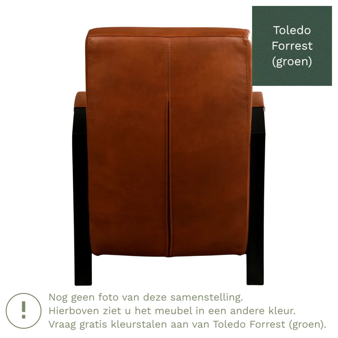 afbeelding van Leren fauteuil Glory - Toledo Forrest (groen)