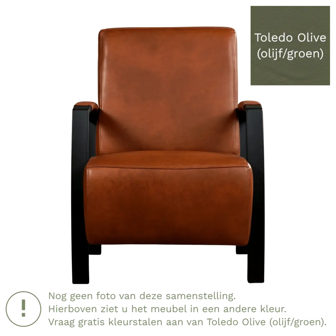afbeelding van Leren fauteuil Glory - Toledo Olive (olijf/goen)