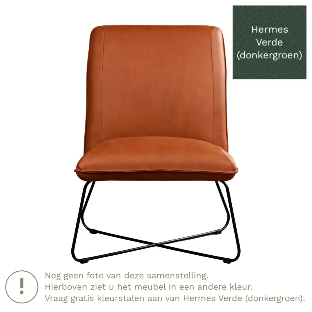 afbeelding van Leren fauteuil Less - Hermes Verde (donkergroen)
