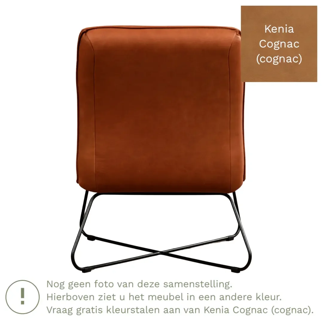 afbeelding van Leren fauteuil Less - Kenia Cognac (cognac)
