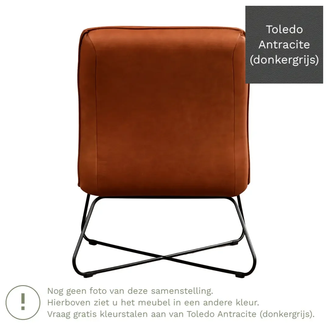afbeelding van Leren fauteuil Less - Toledo Antracite (donkergrijs)