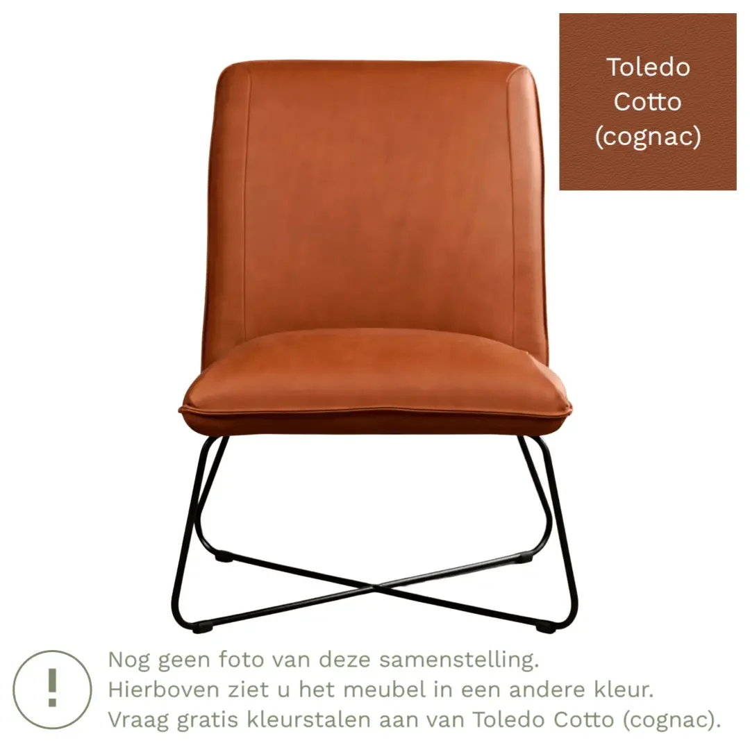 afbeelding van Leren fauteuil Less - Toledo Cotto (cognac)