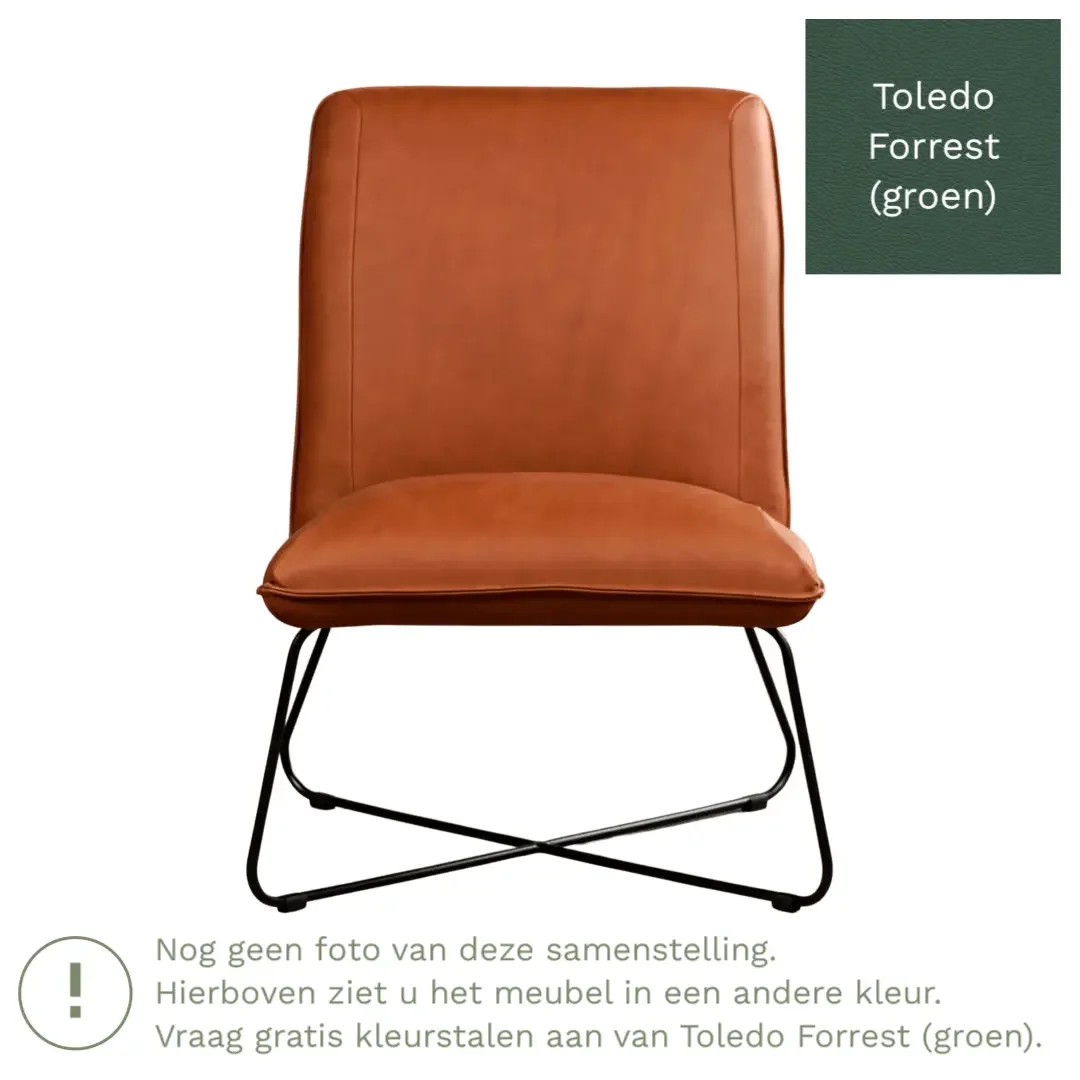 afbeelding van Leren fauteuil Less - Toledo Forrest (groen)