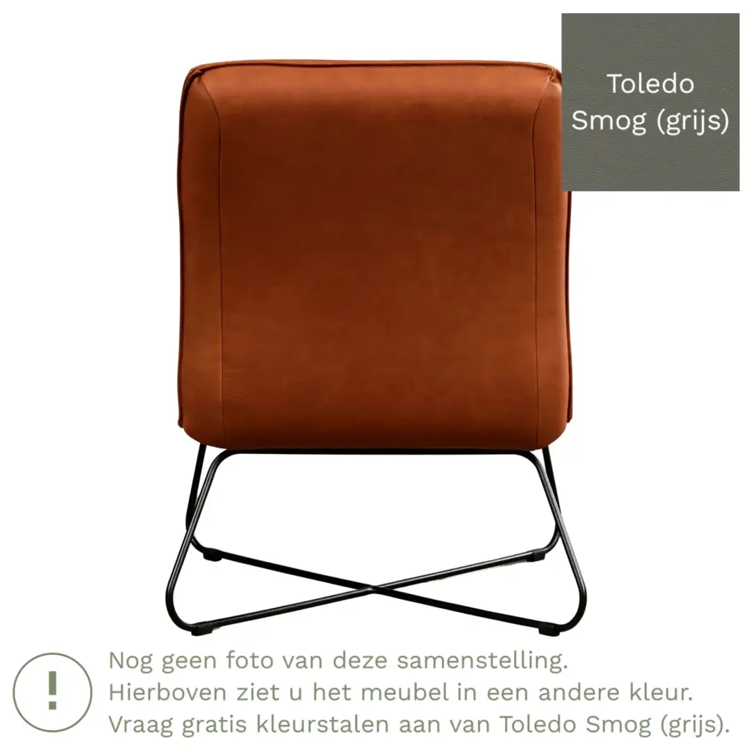 afbeelding van Leren fauteuil Less - Toledo Smog (grijs)