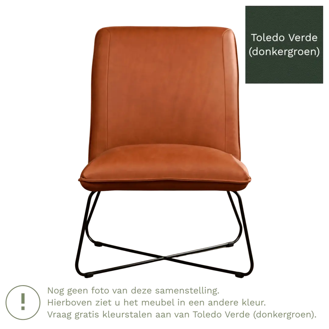 afbeelding van Leren fauteuil Less - Toledo Verde (donkergroen)
