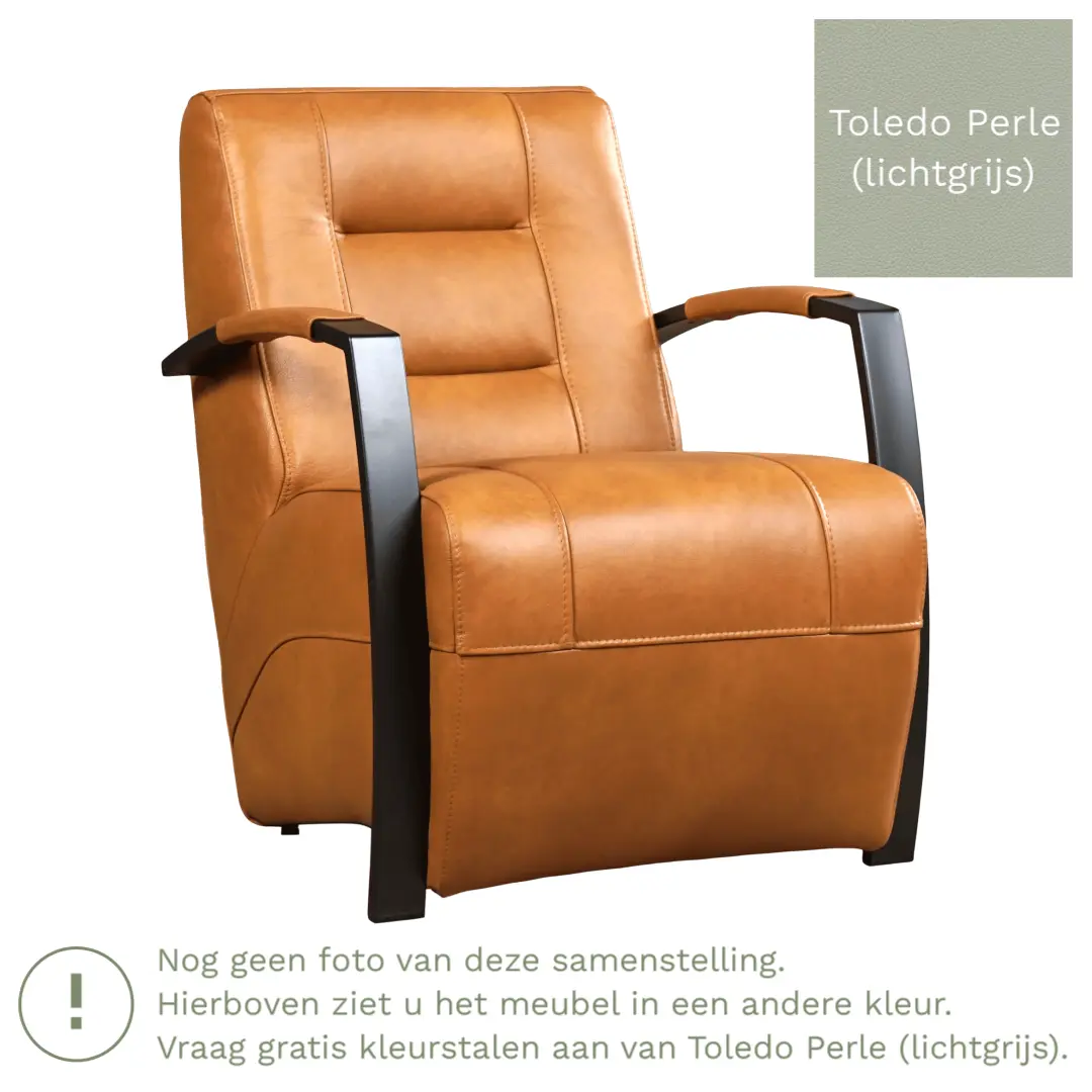afbeelding van Leren fauteuil Magnificent - Toledo Perle (lichtgrijs)