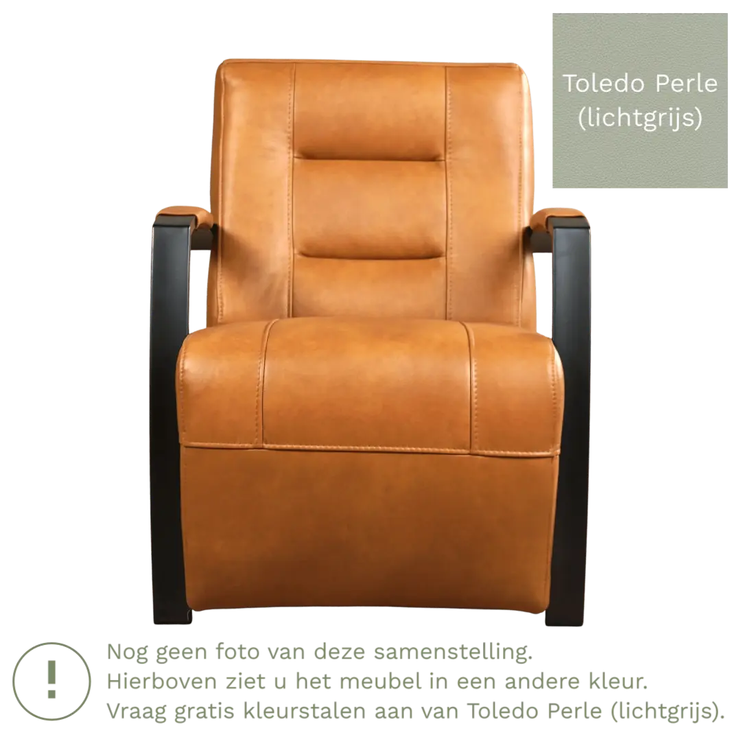afbeelding van Leren fauteuil Magnificent - Toledo Perle (lichtgrijs)