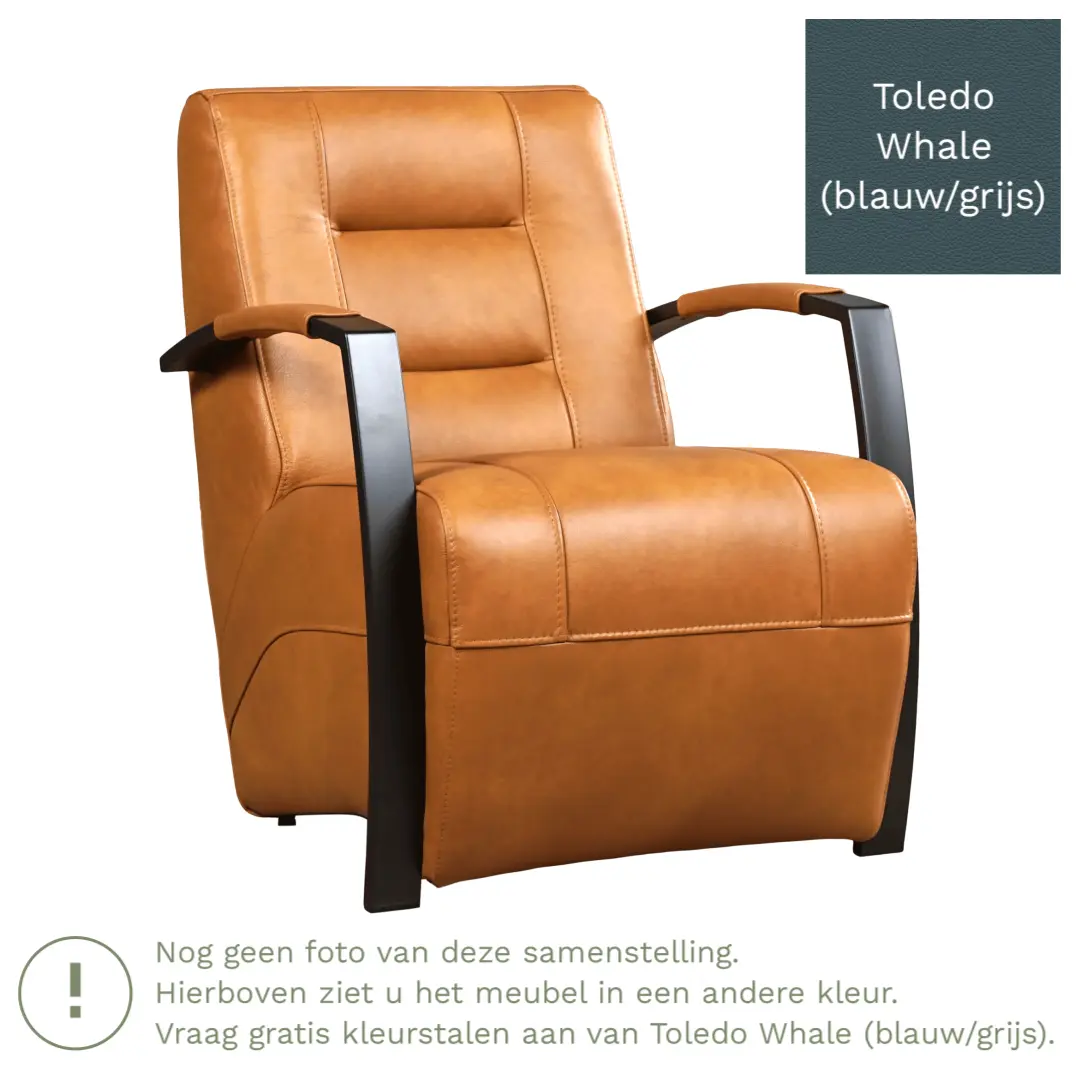 afbeelding van Leren fauteuil Magnificent - Toledo Whale (blauw/grijs)