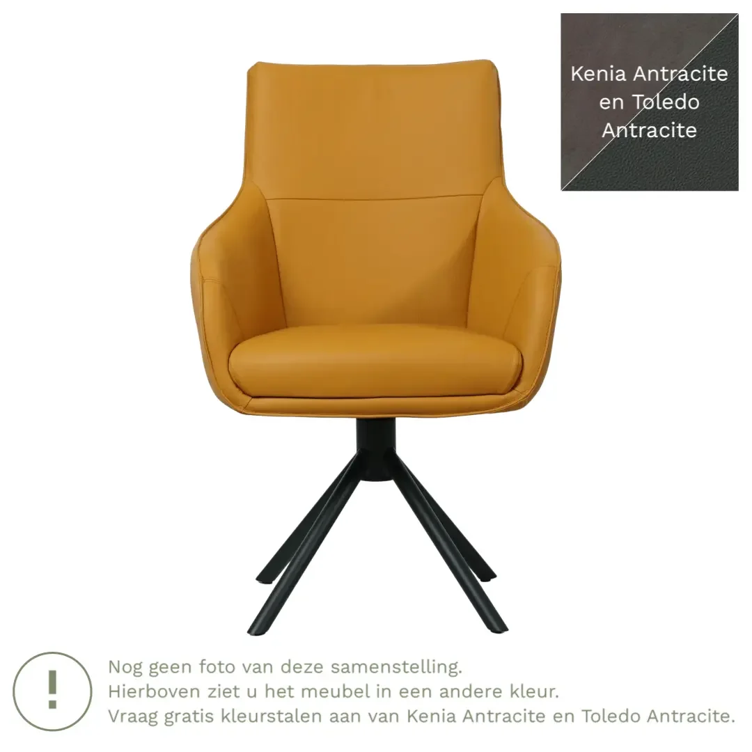 afbeelding van Leren draaibare eetkamerstoel Fancy Duo - Kenia Antracite en Toledo Antracite - Spinpoot staal rond zwart
