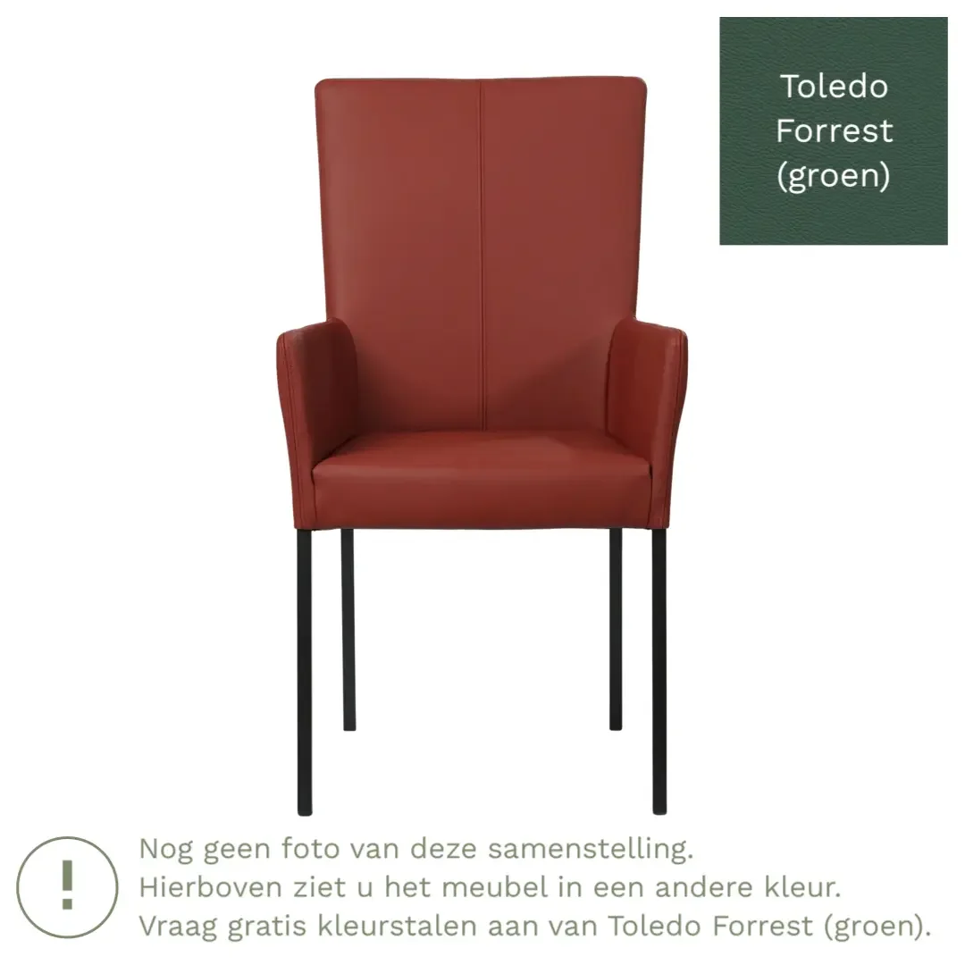 afbeelding van Leren eetkamerstoel Daily met armleuning - Toledo Forrest (groen) - Poten staal vierkant RVS