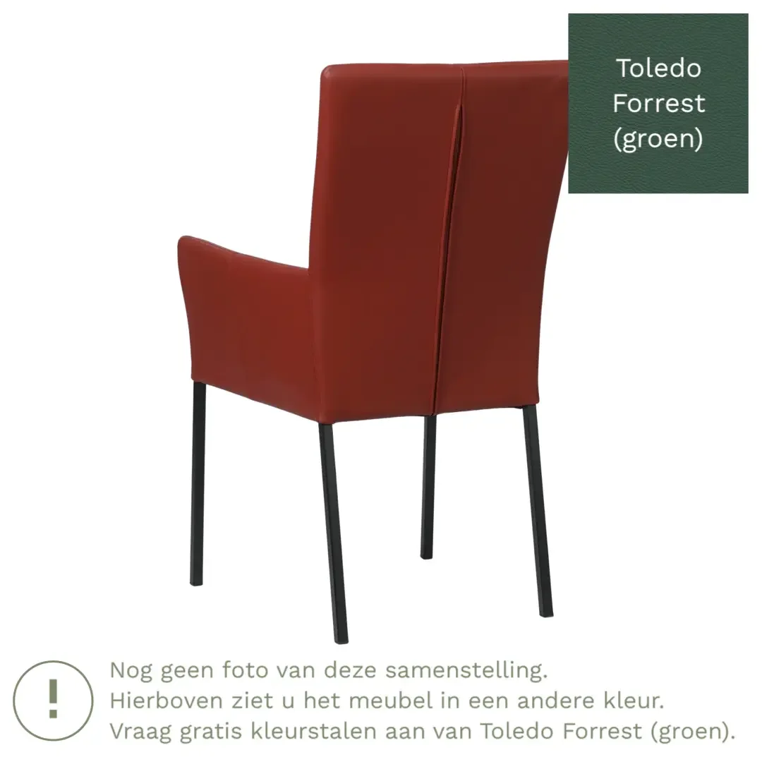 afbeelding van Leren eetkamerstoel Daily met armleuning - Toledo Forrest (groen) - Poten staal vierkant RVS