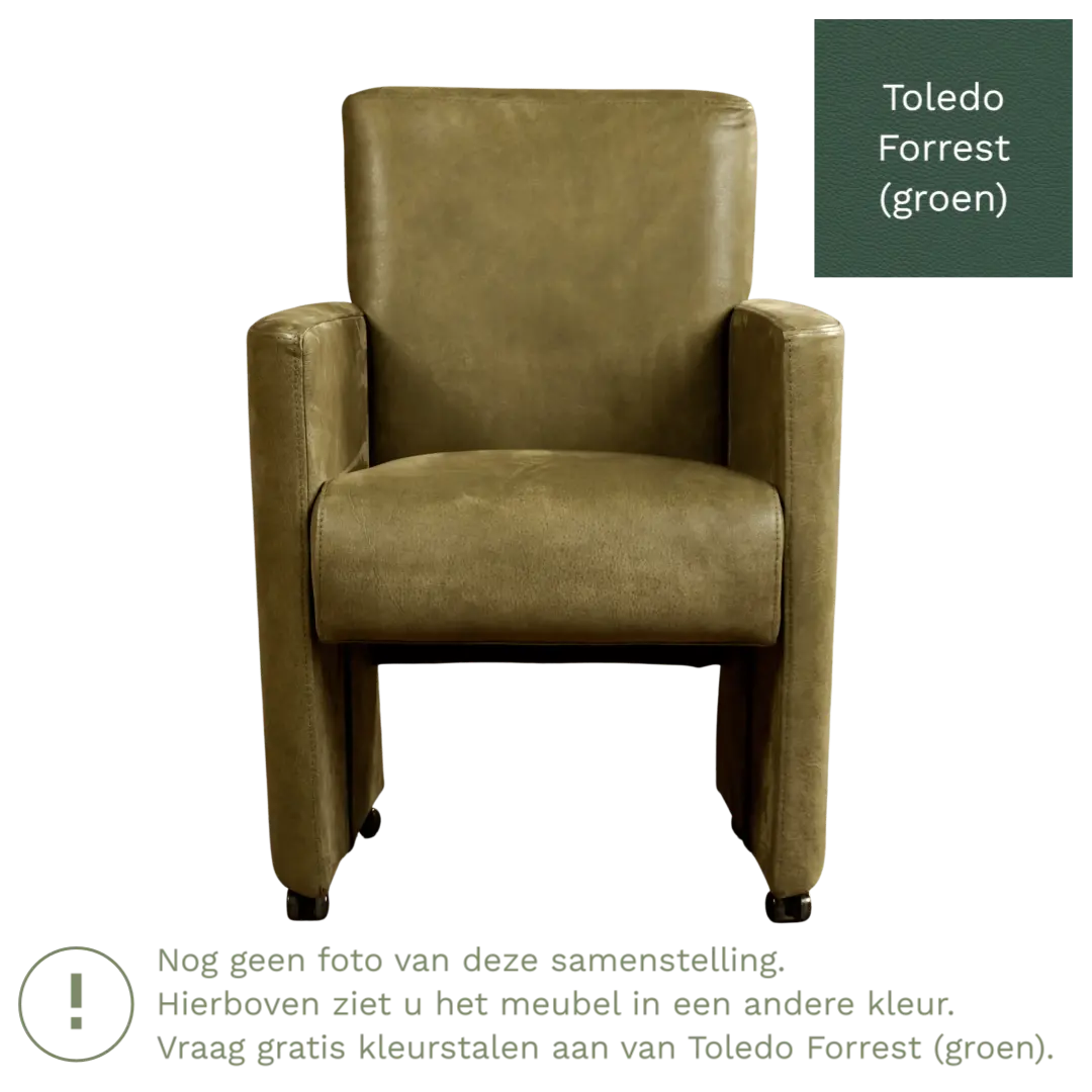 afbeelding van Leren eetkamerstoel Elegant - Toledo Forrest (groen) - Met handgreep zwart
