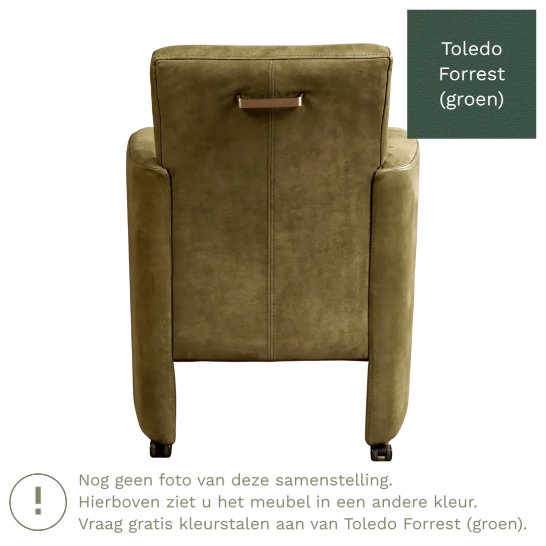 afbeelding van Leren eetkamerstoel Elegant - Toledo Forrest (groen) - Met handgreep zwart