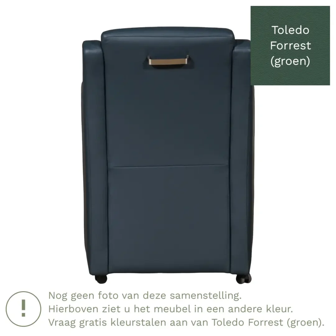afbeelding van Leren eetkamerstoel Mass - Toledo Forrest (groen) - Zonder handgreep