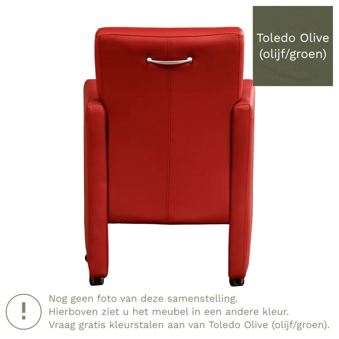 afbeelding van Leren eetkamerstoel Pleasure - Toledo Olive (olijf/goen) - Met handgreep RVS