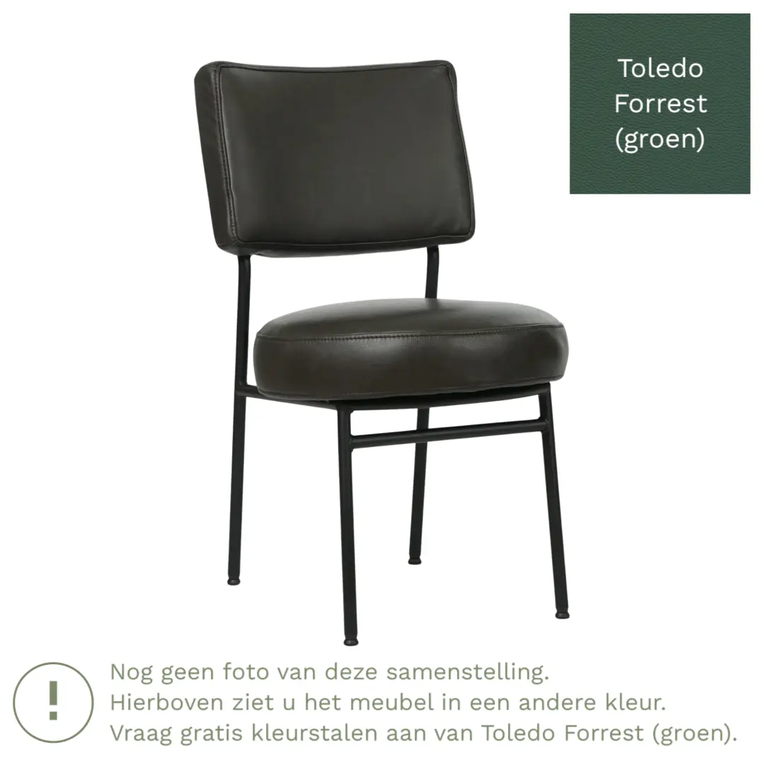 afbeelding van Leren eetkamerstoel Rondo - Toledo Forrest (groen) - Poten staal rond zwart