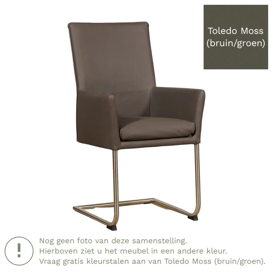 afbeelding van Leren eetkamerstoel Rumor - Toledo Moss (bruin/groen) - Sledepoot staal rond RVS