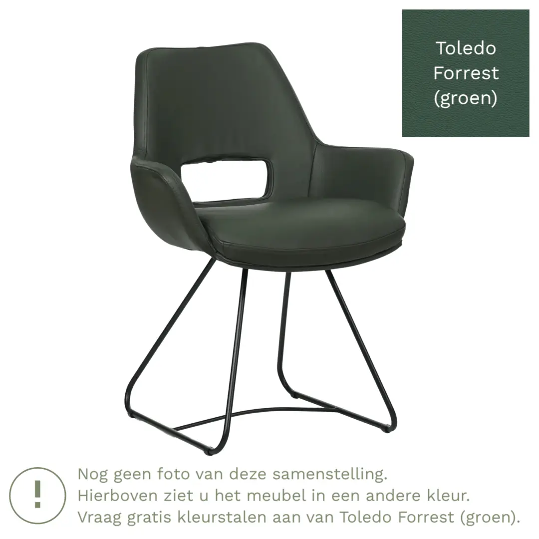 afbeelding van Leren eetkamerstoel Zippy - Toledo Forrest (groen) - U-poot staal rond zwart